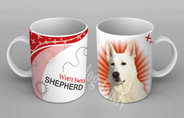 whswshepcup copy